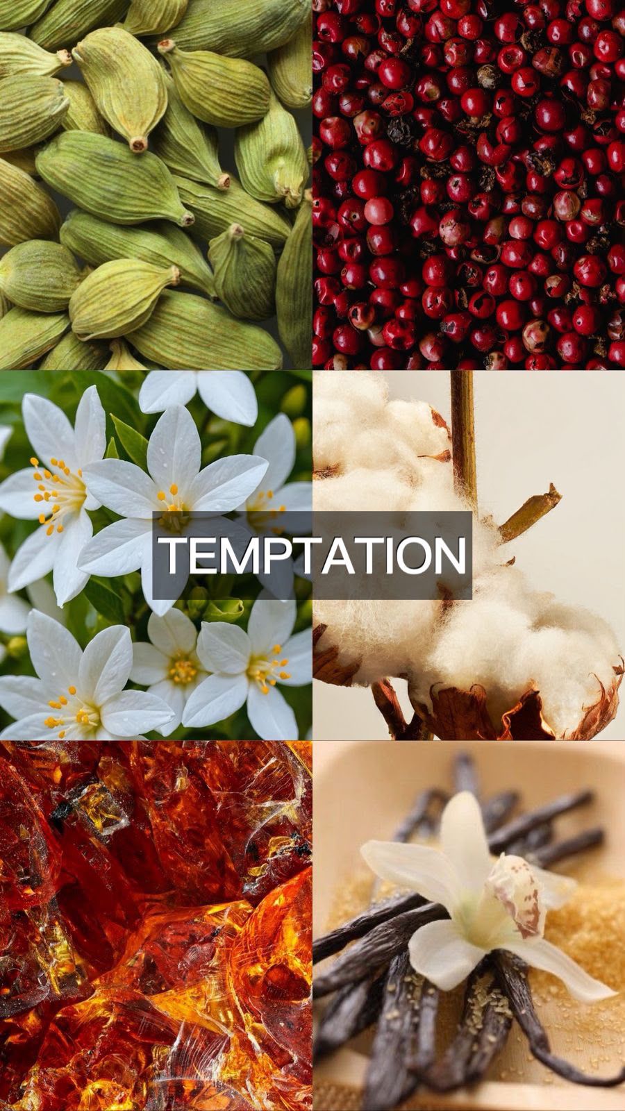 TEMPTATION