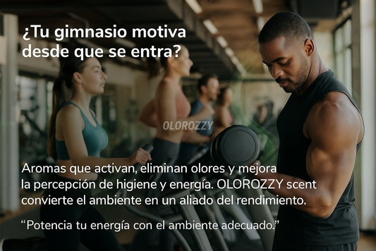 GIMNASIOS Y FITNESS