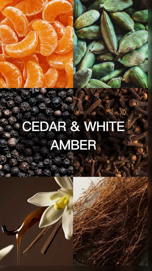 CEDAR WHITE AND AMBER