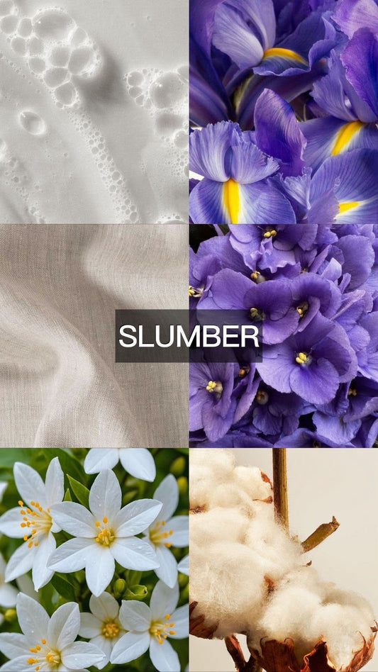 SLUMBER