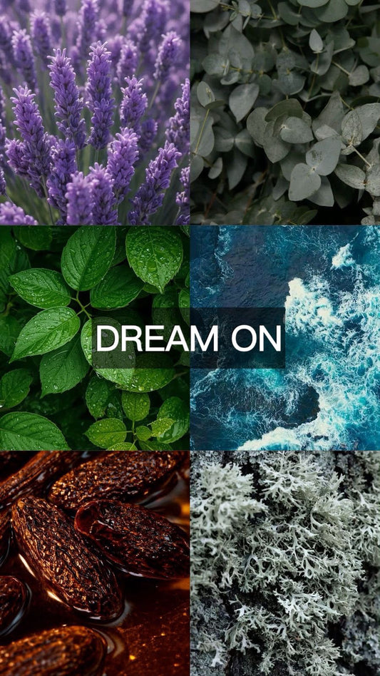 DREAM ON