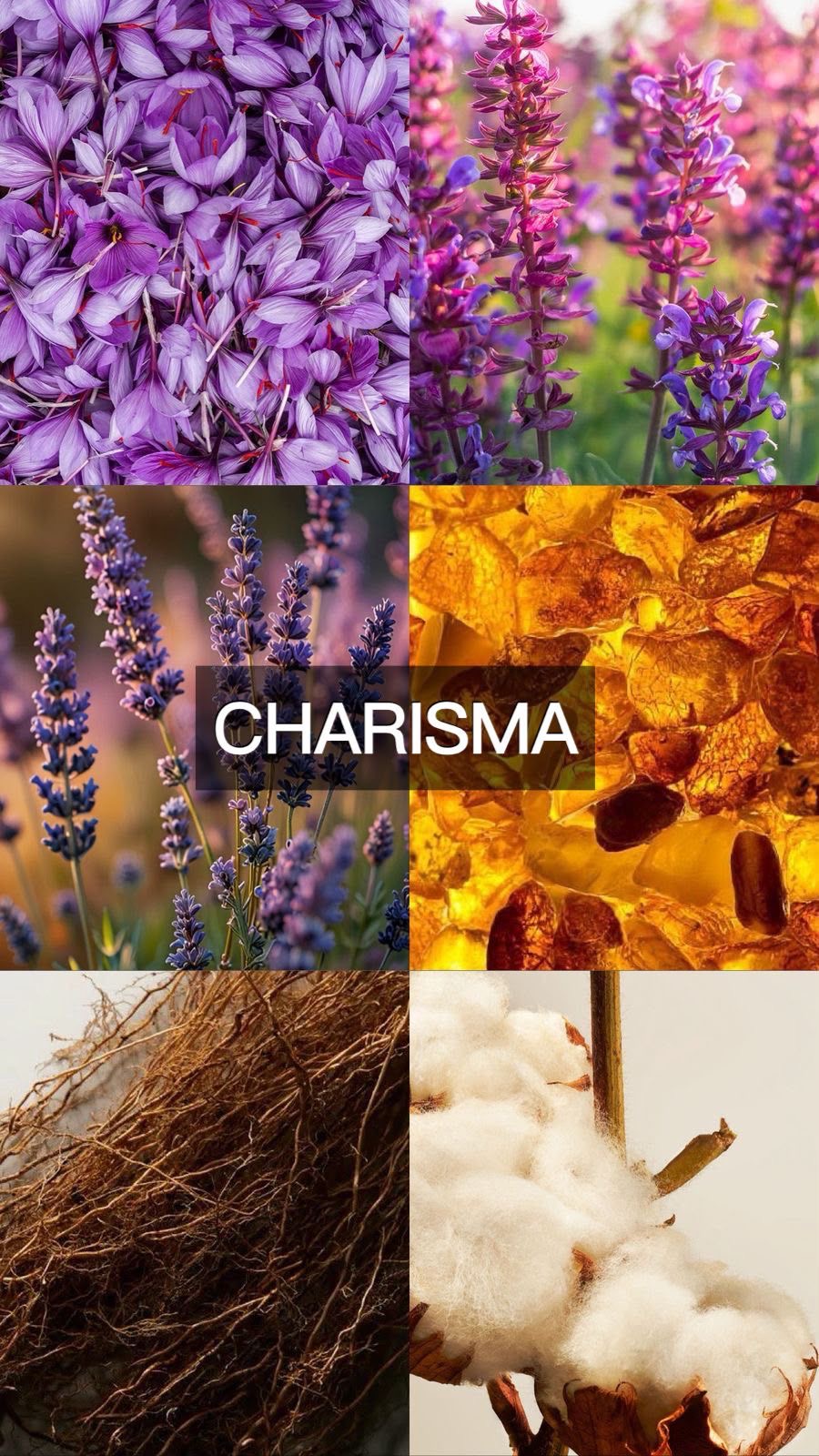 CHARISMA