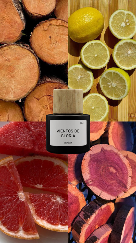 VIENTOS DE GLORIA Parfum - Olor similar a Himalaya de CREED