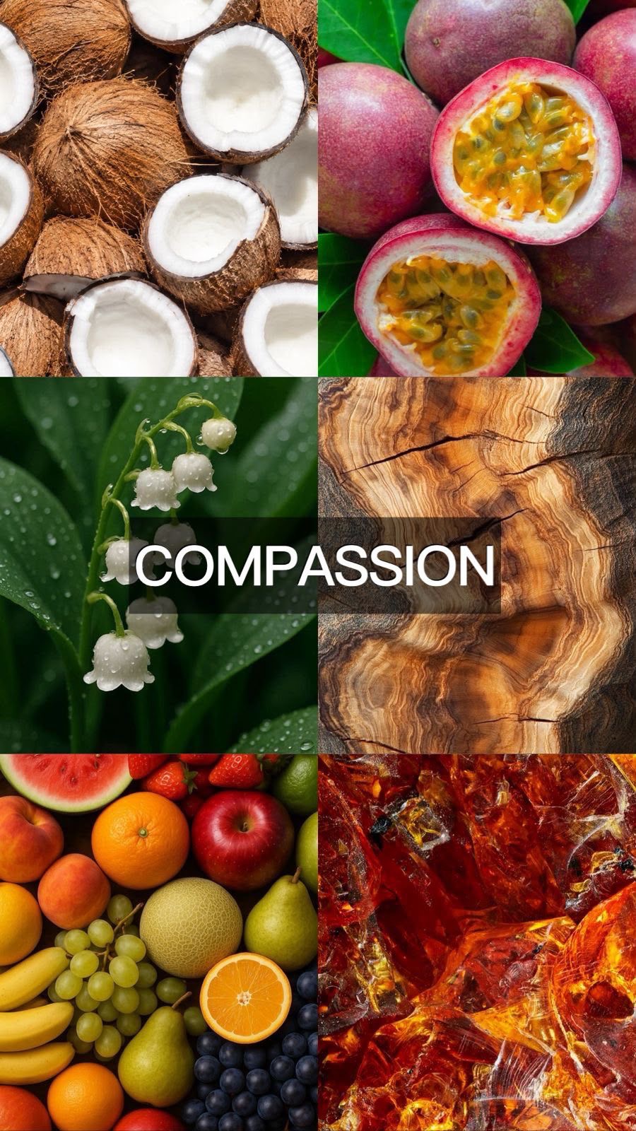 COMPASSION
