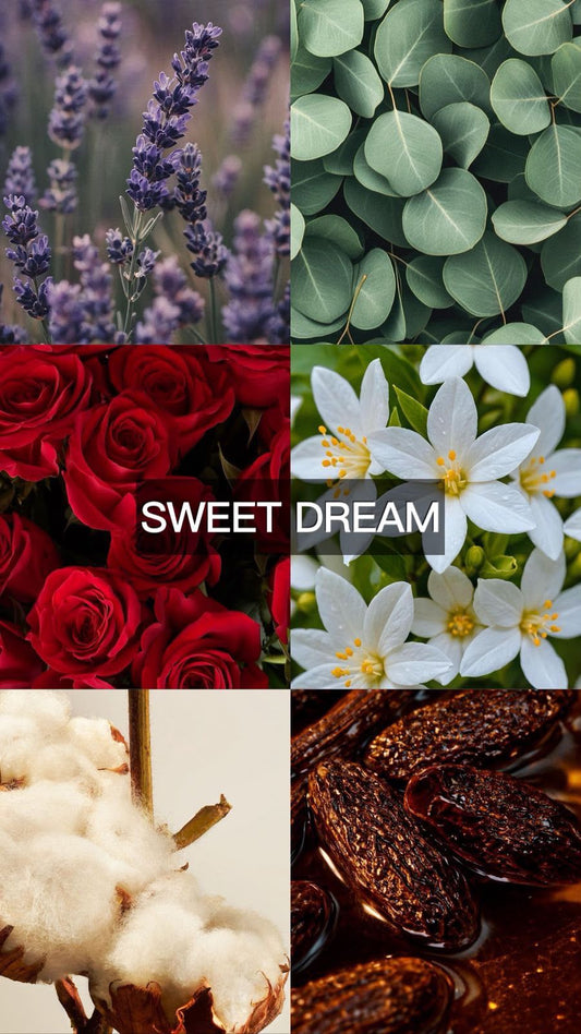 SWEET DREAM