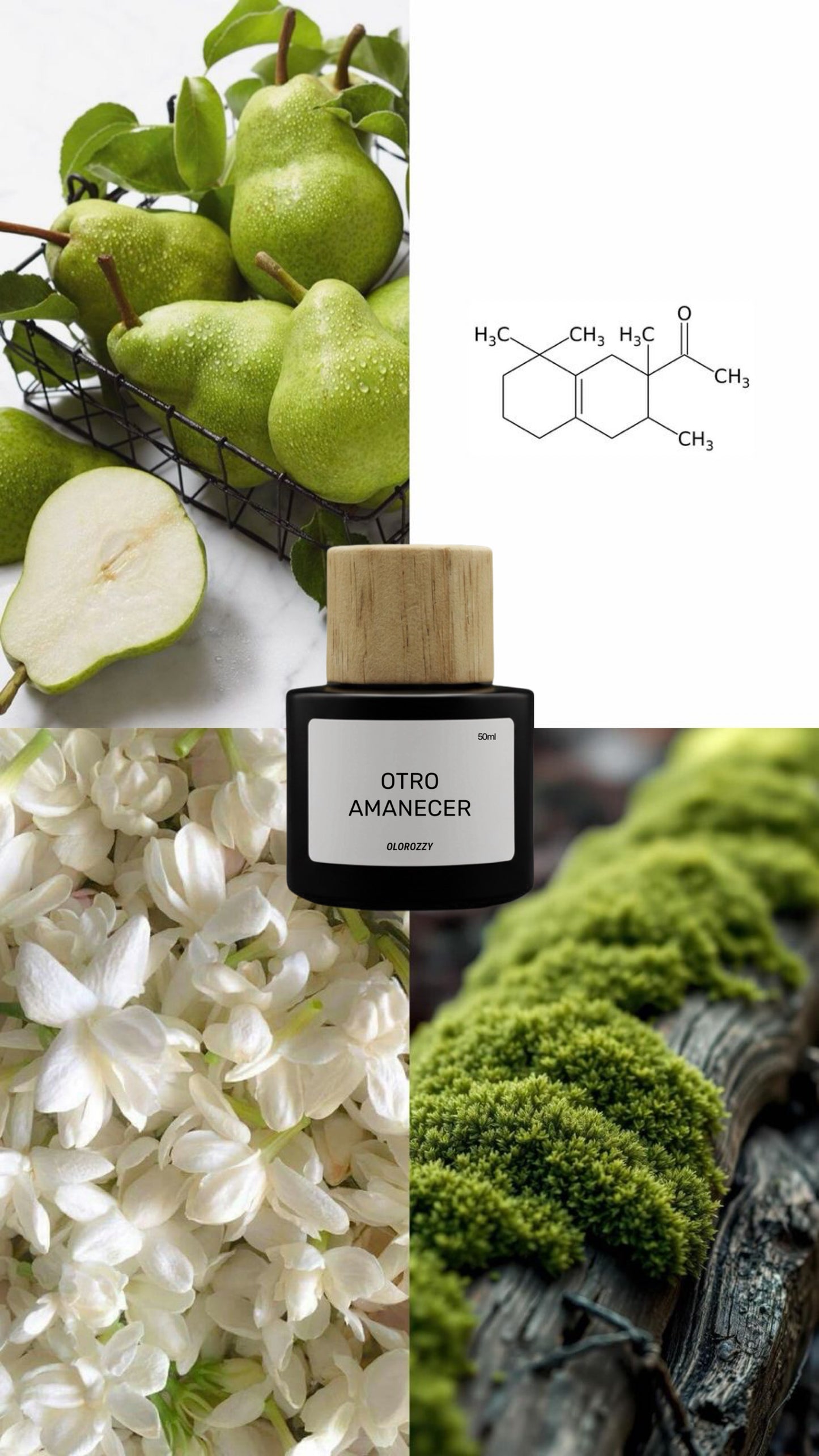 ANOTHER DAWN Parfum - Inspired by Another 13 by Le Labo