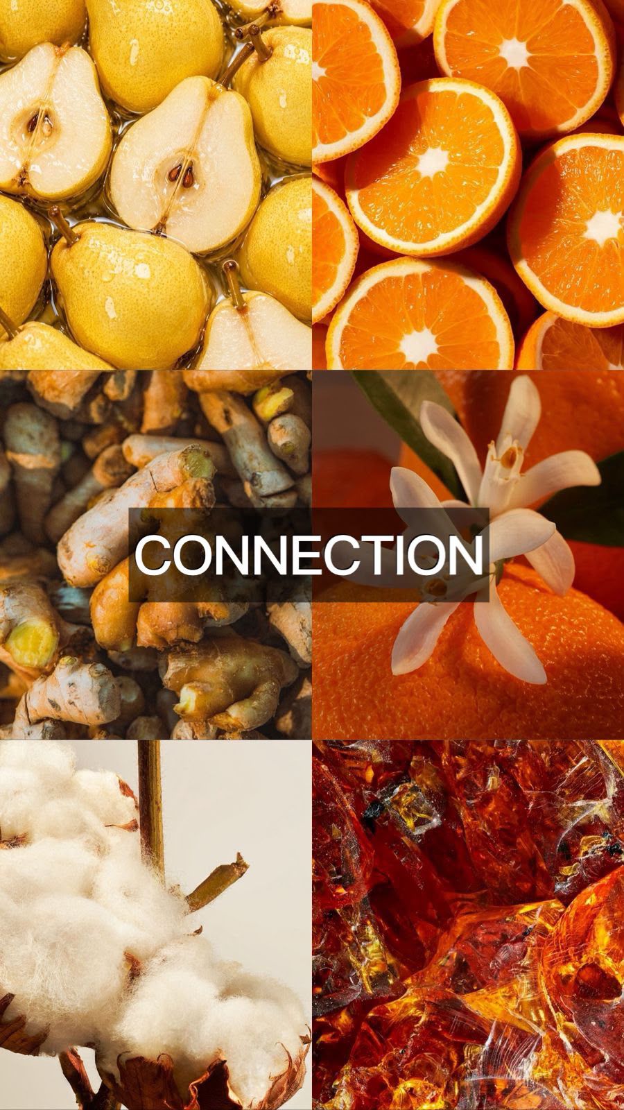 CONECCTION