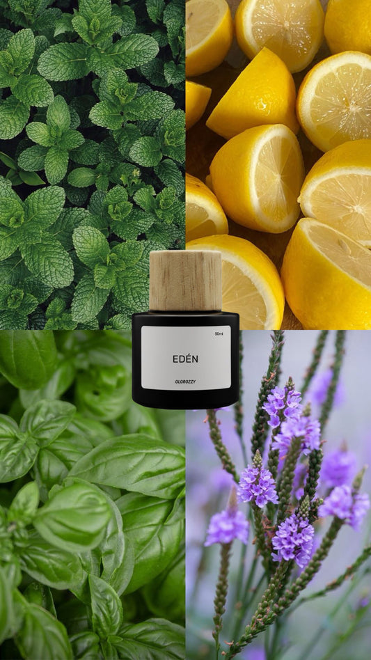 EDÉN Parfum - Olor similar a TORINO 21 de Xerjoff