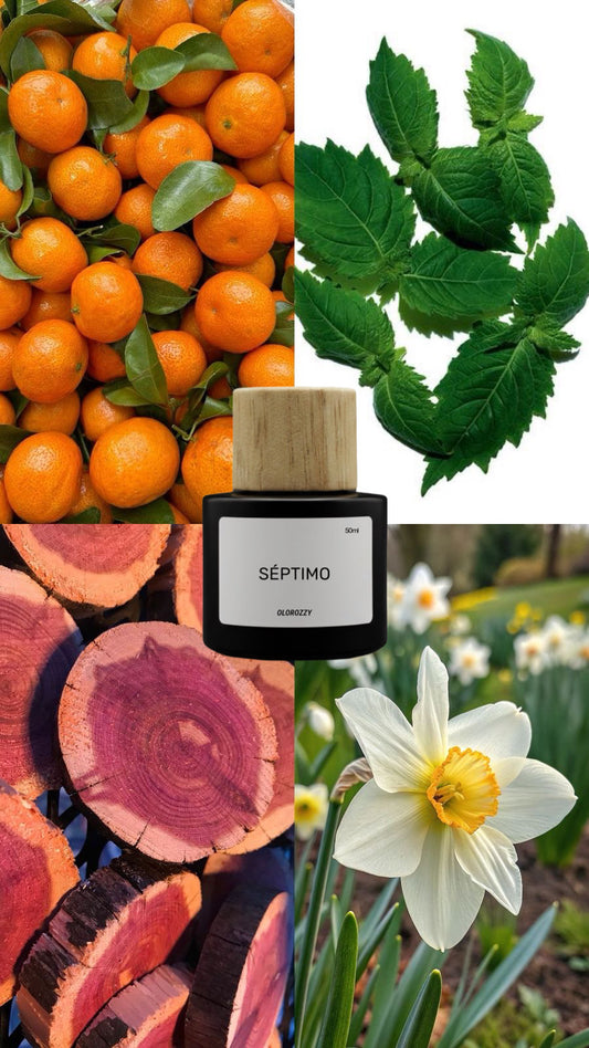 SEPTIMO Parfum - Olor similar a M7 de ysl