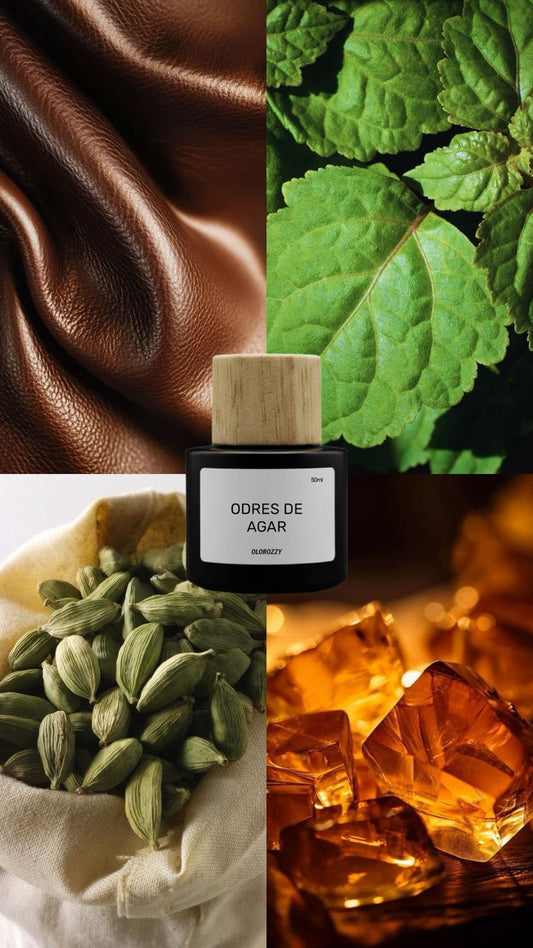 ODRES DE AGAR Parfum - Olor similar a Tom Ford Ombre Leather Parfum