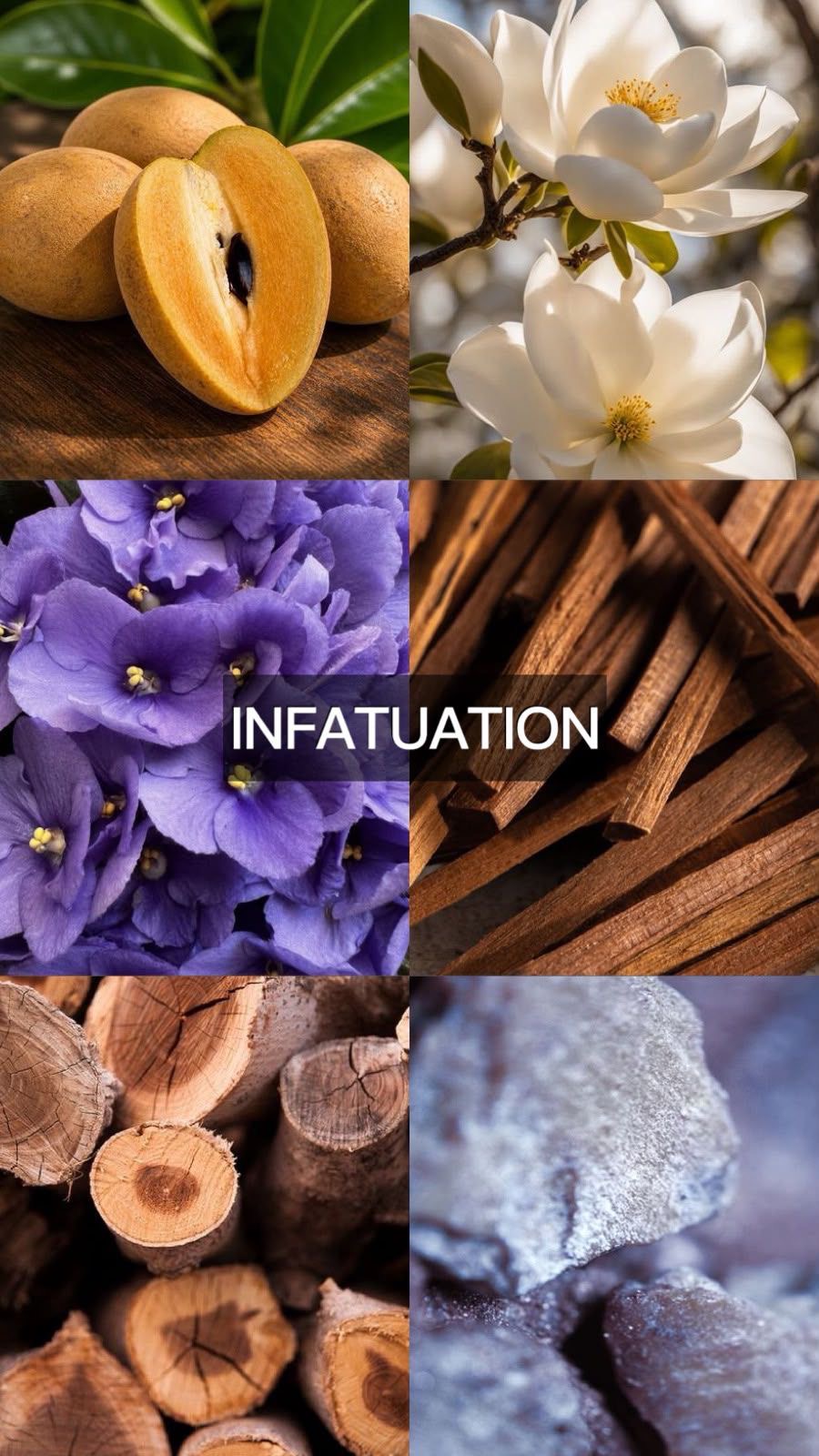INFATUATION