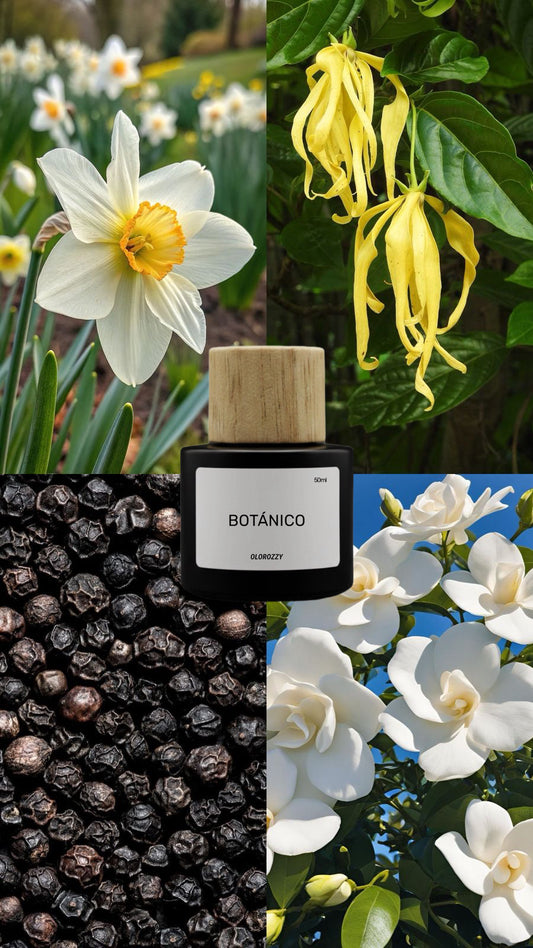 BOTÁNICO Parfum - Olor similar a Central Park West Imperial de Bond No. 9