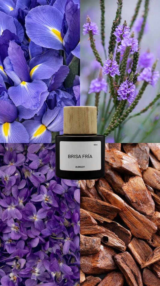 BRISA FRIA Parfum - Olor similar a CREED GREEN IRISH TWEED