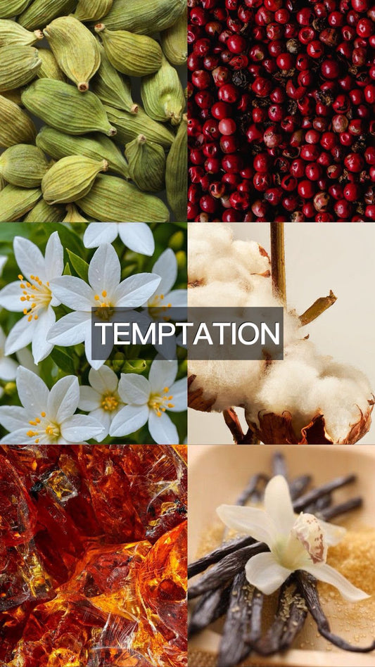 TEMPTATION