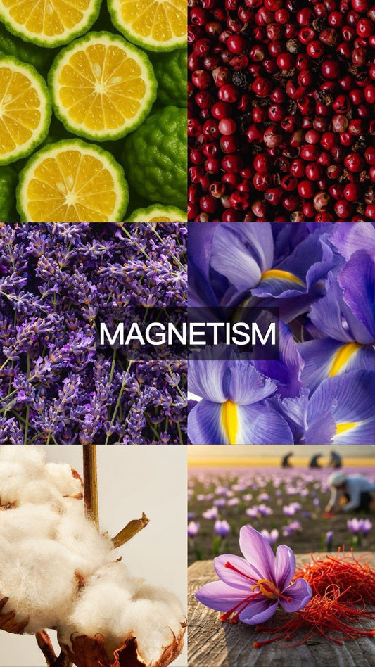 MAGNETISM