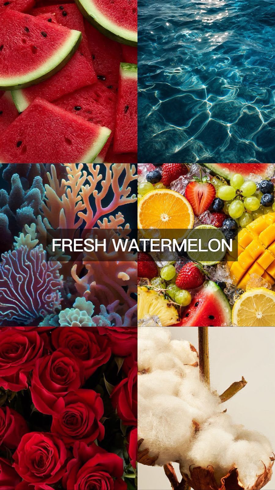 FRESH WATERMELON