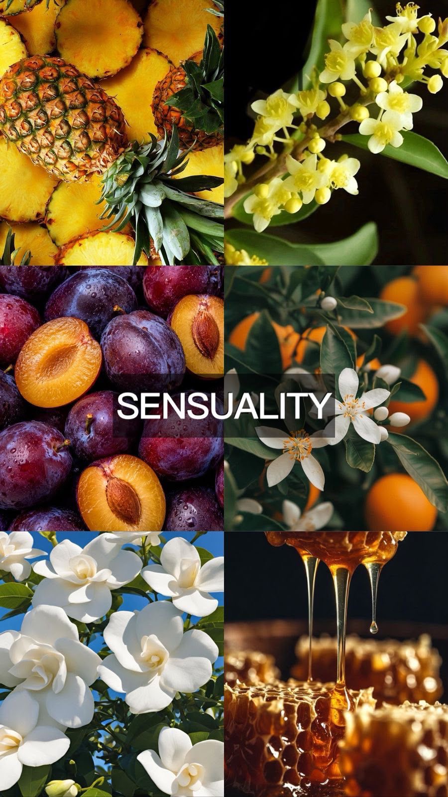 SENSUALITY