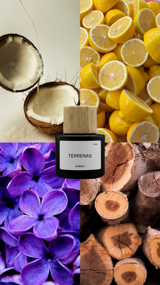 TERRENAS Parfum - Collection Privée